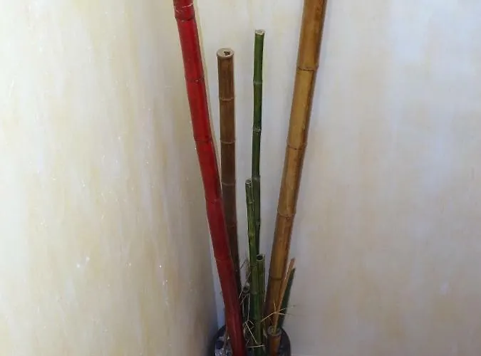 Nyaraló Mirador De Balcones Torrevieja